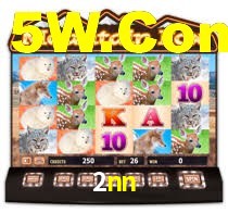 2nn: A Experiência de Casino com Jogos de Mesa ao Vivo